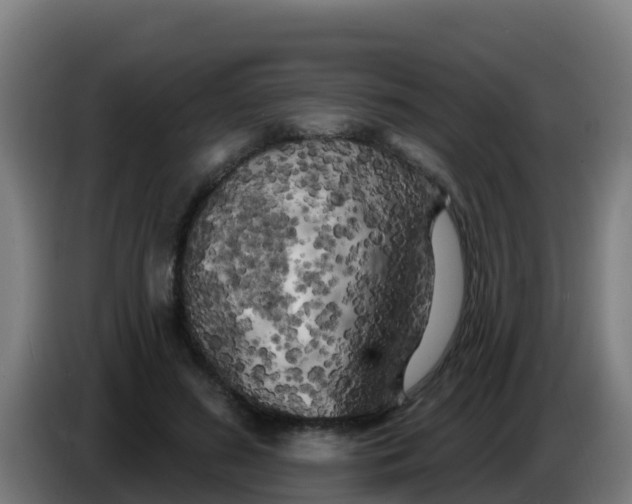 X0000086300596200704201944