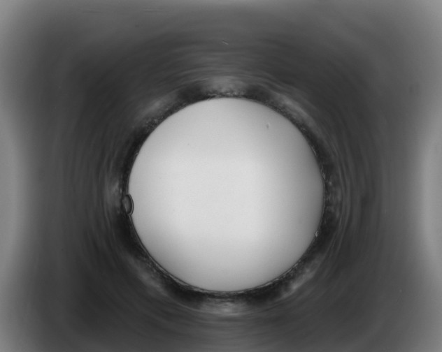 X0000086300597200704201944