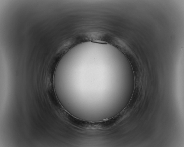 X0000086300599200704201944