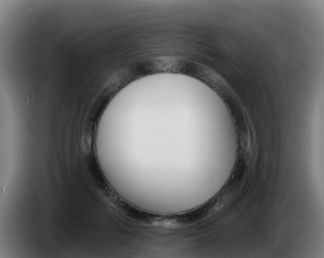 X0000086300602200704201944