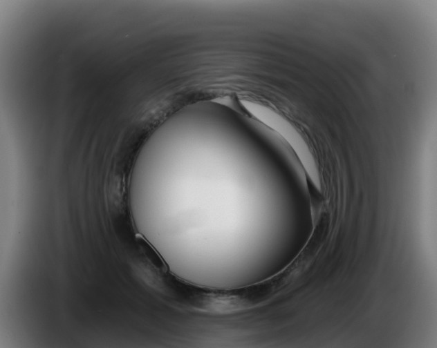 X0000086300605200704201944