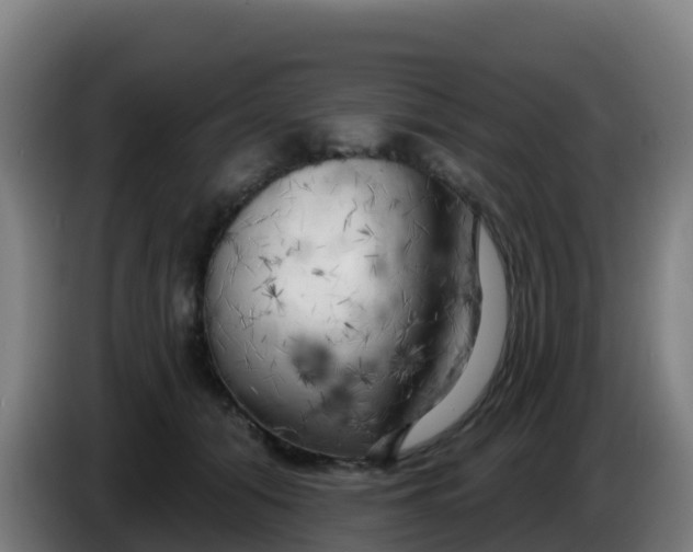 X0000086300608200704201944