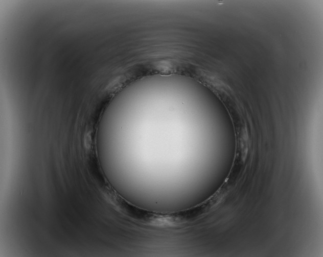 X0000086300611200704201944