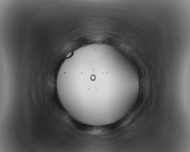 X0000086300612200704201944