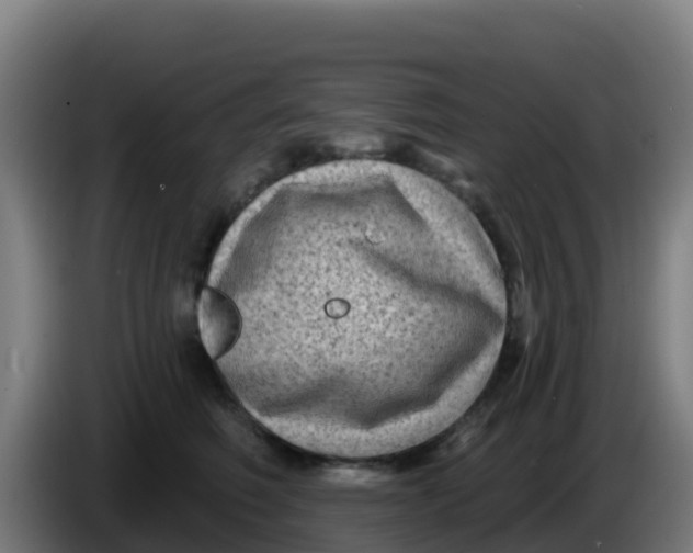 X0000086300614200704201944