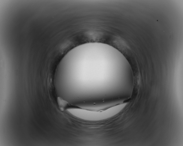 X0000086300615200704201944