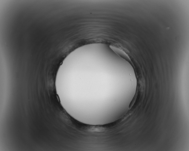 X0000086300617200704201944