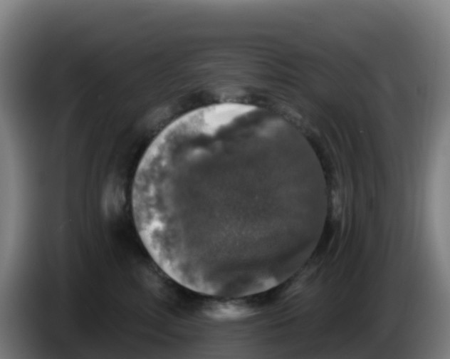 X0000086300618200704201944