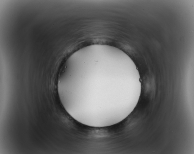 X0000086300619200704201944