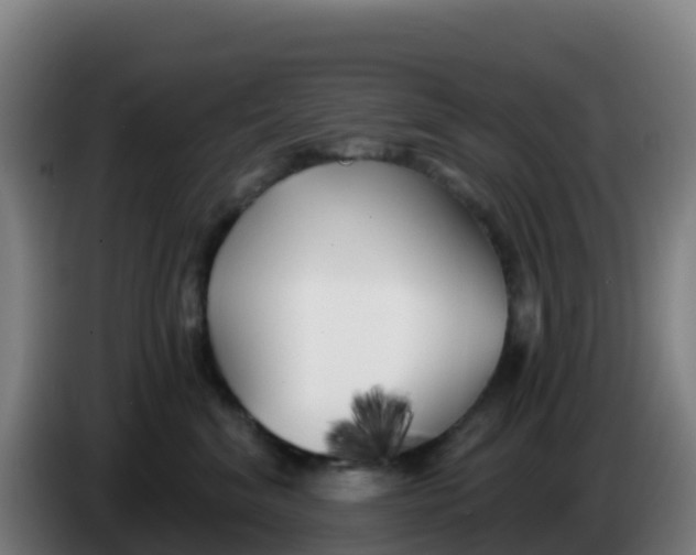 X0000086300620200704201944