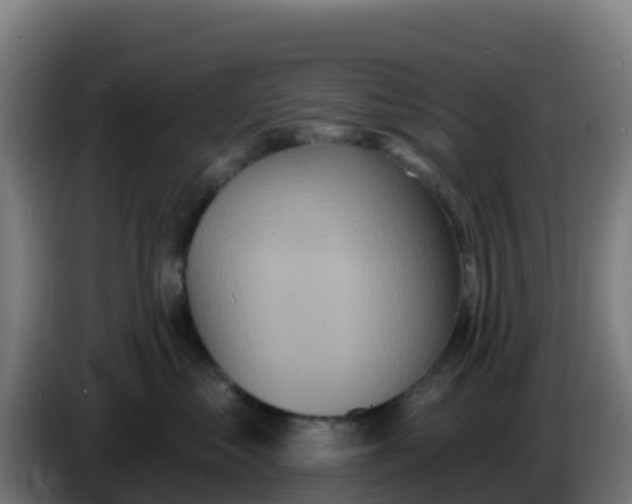 X0000086300621200704201944