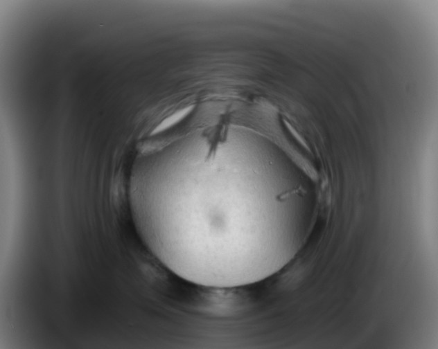 X0000086300623200704201943