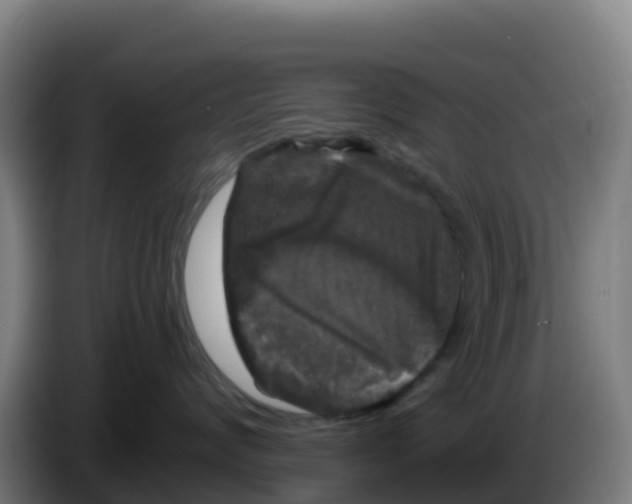 X0000086300624200704201943