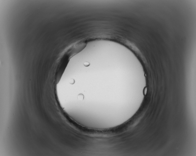 X0000086300625200704201943