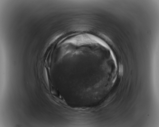 X0000086300627200704201943