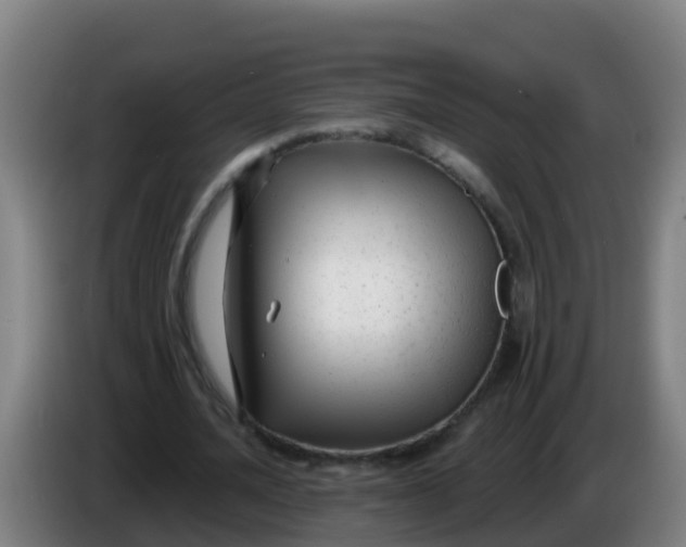 X0000086300628200704201943