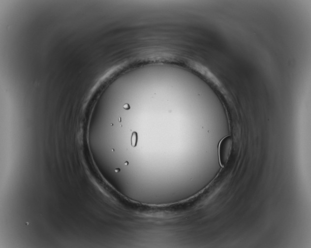 X0000086300629200704201943