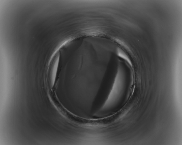 X0000086300630200704201943