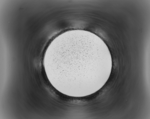 X0000086300632200704201943