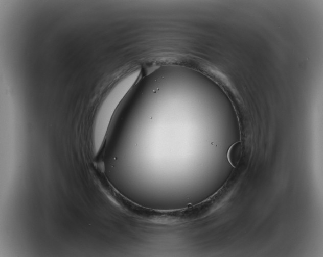 X0000086300633200704201943