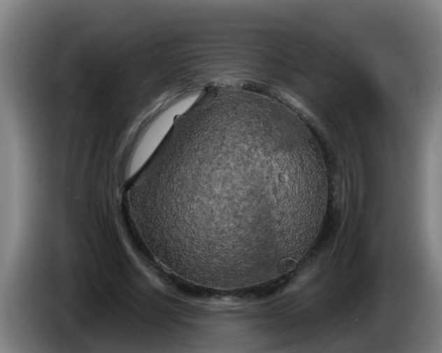 X0000086300634200704201943