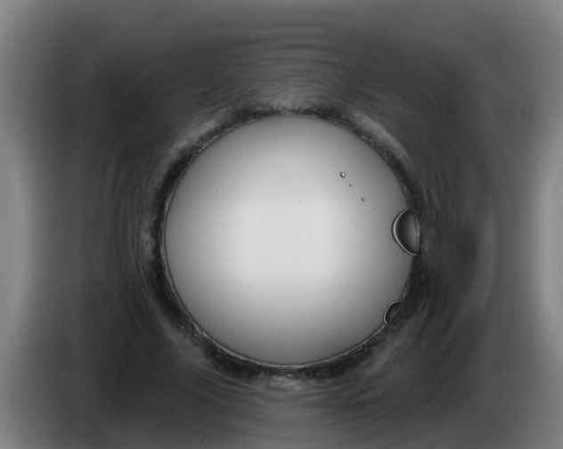 X0000086300635200704201943