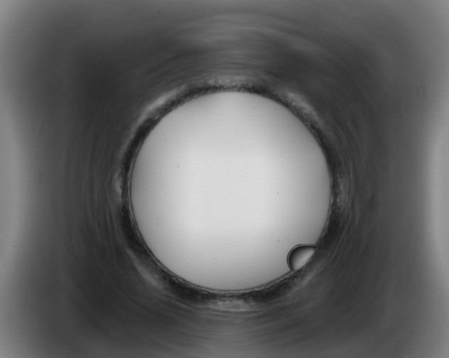 X0000086300636200704201943