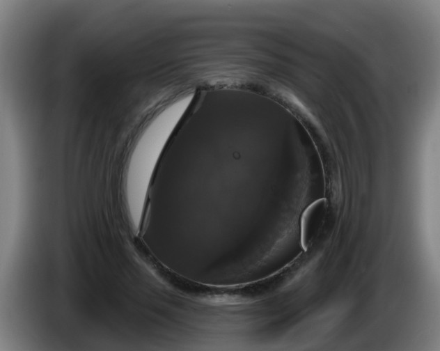 X0000086300637200704201943