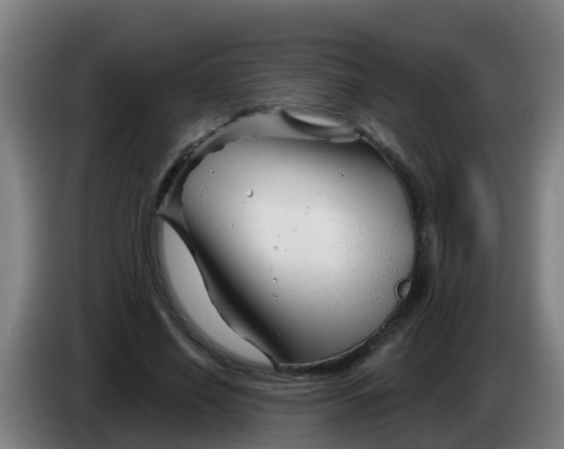 X0000086300638200704201943