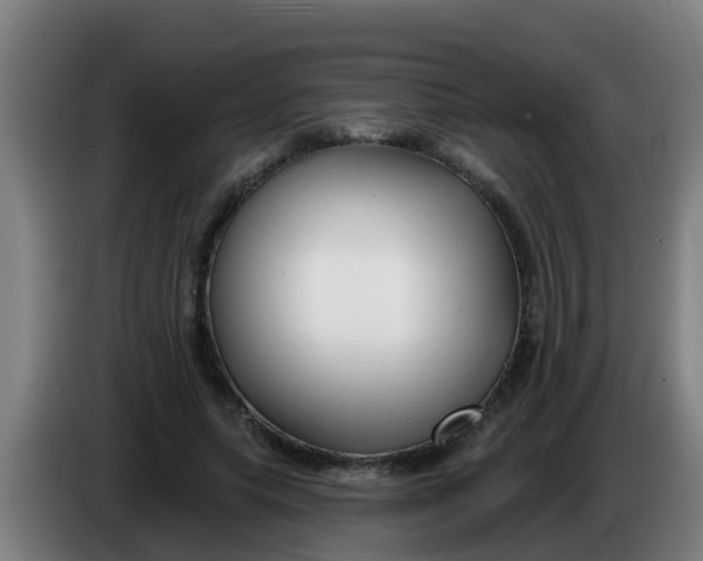 X0000086300639200704201943