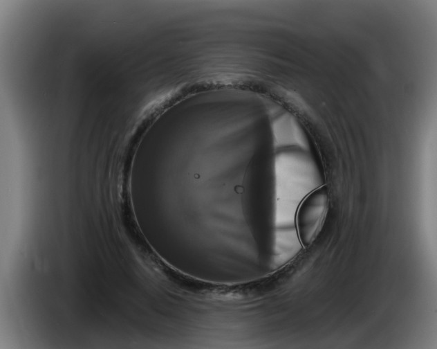 X0000086300640200704201943