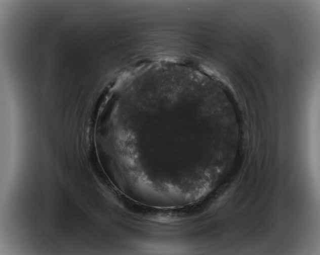 X0000086300641200704201943