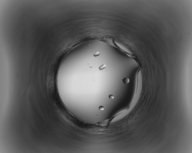 X0000086300642200704201943