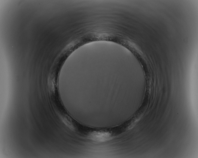 X0000086300644200704201943