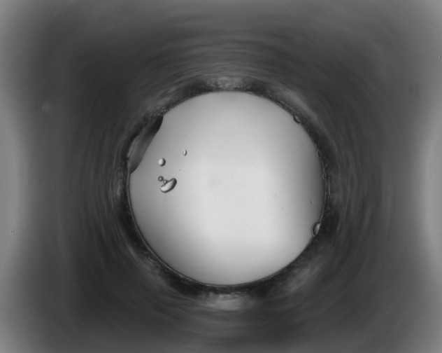 X0000086300645200704201943