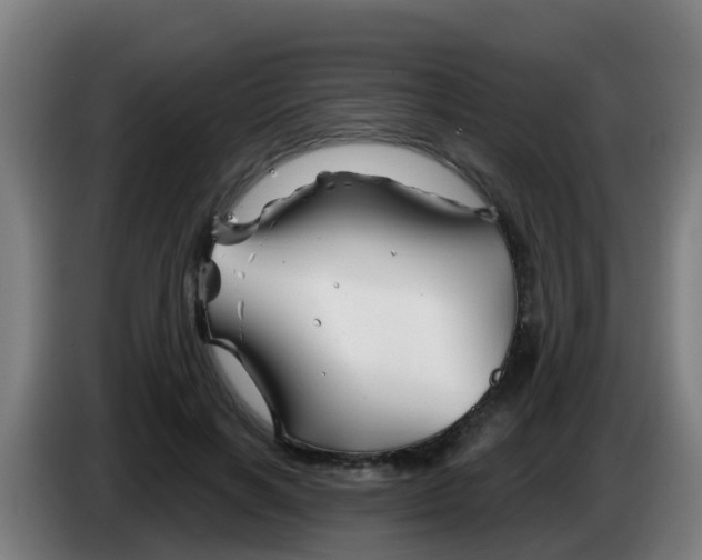 X0000086300646200704201943