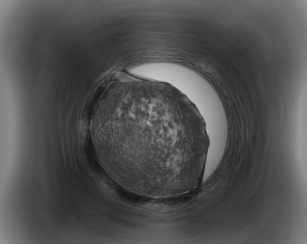 X0000086300648200704201943