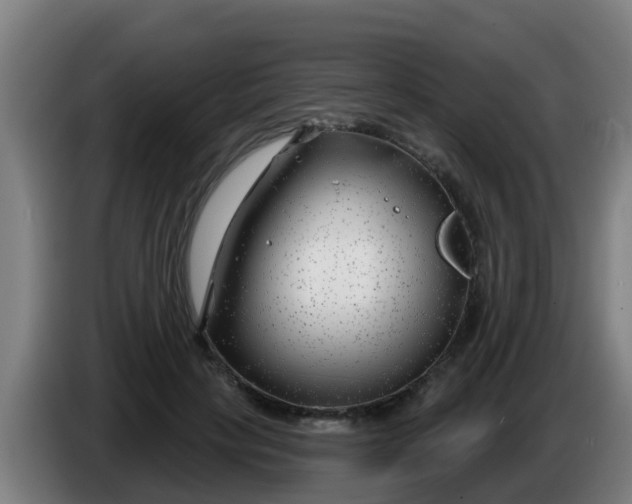 X0000086300649200704201943