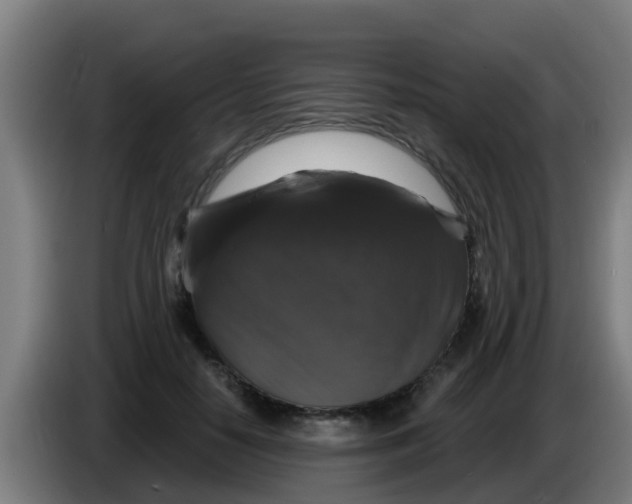 X0000086300650200704201943