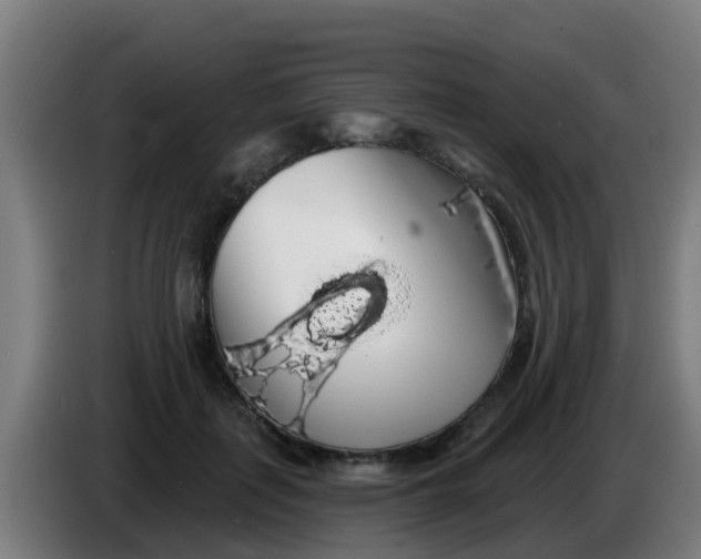 X0000086300651200704201943