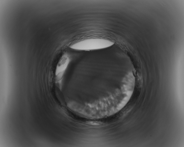 X0000086300654200704201943