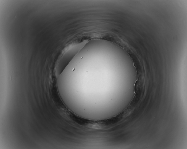 X0000086300655200704201943