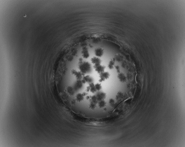 X0000086300657200704201943