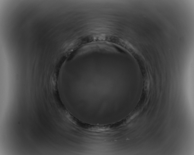 X0000086300661200704201943