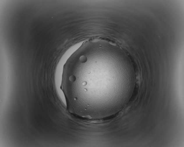 X0000086300662200704201943