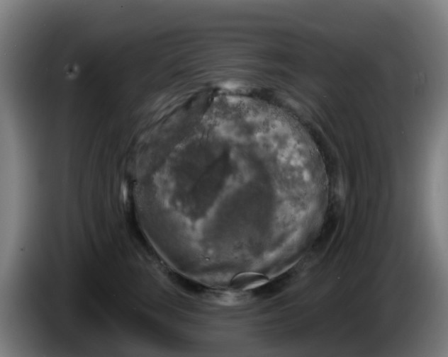 X0000086300663200704201943