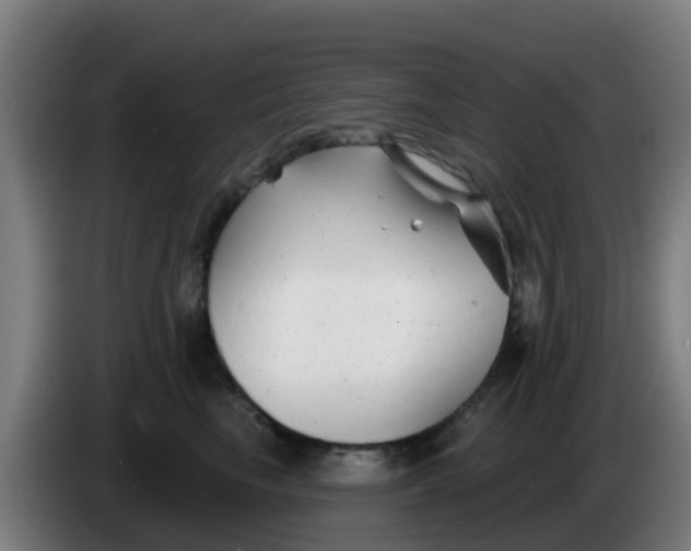 X0000086300665200704201943