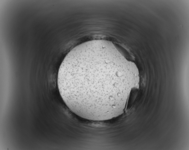 X0000086300666200704201943