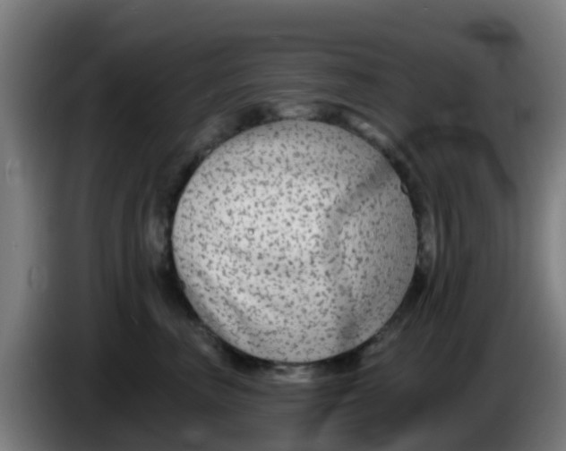 X0000086300667200704201943