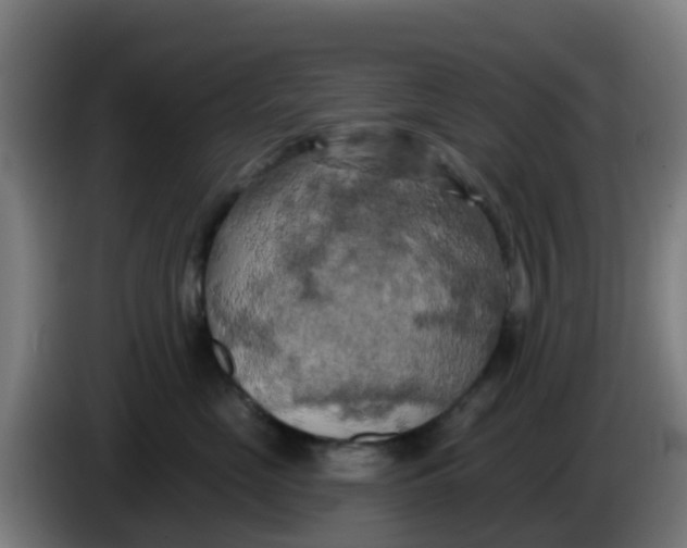 X0000086300669200704201943